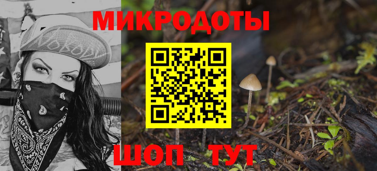 Галлюциногенные грибы Psilocybe  Вход с VPN  Ковров 